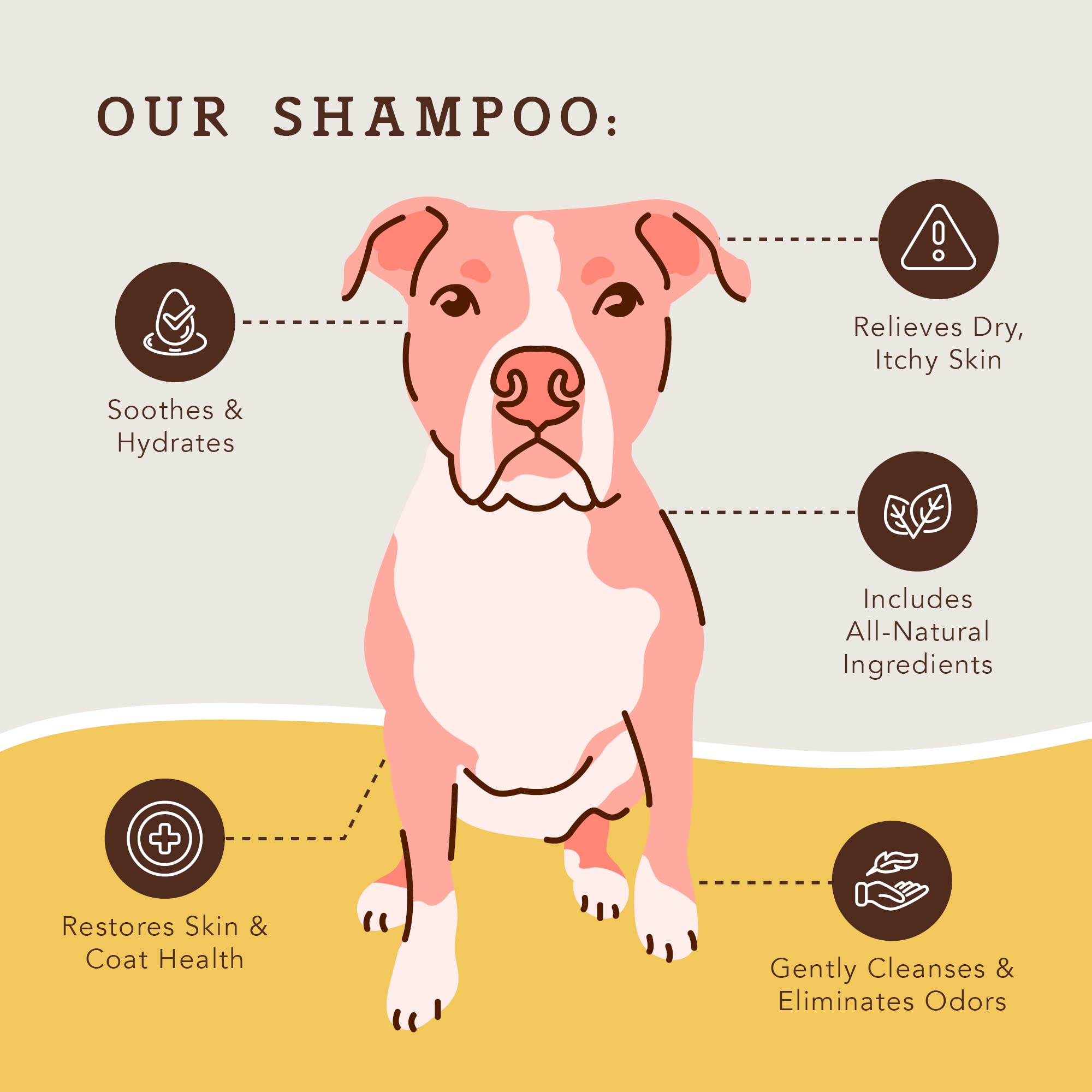 How Much Does Dog Shampoo Cost