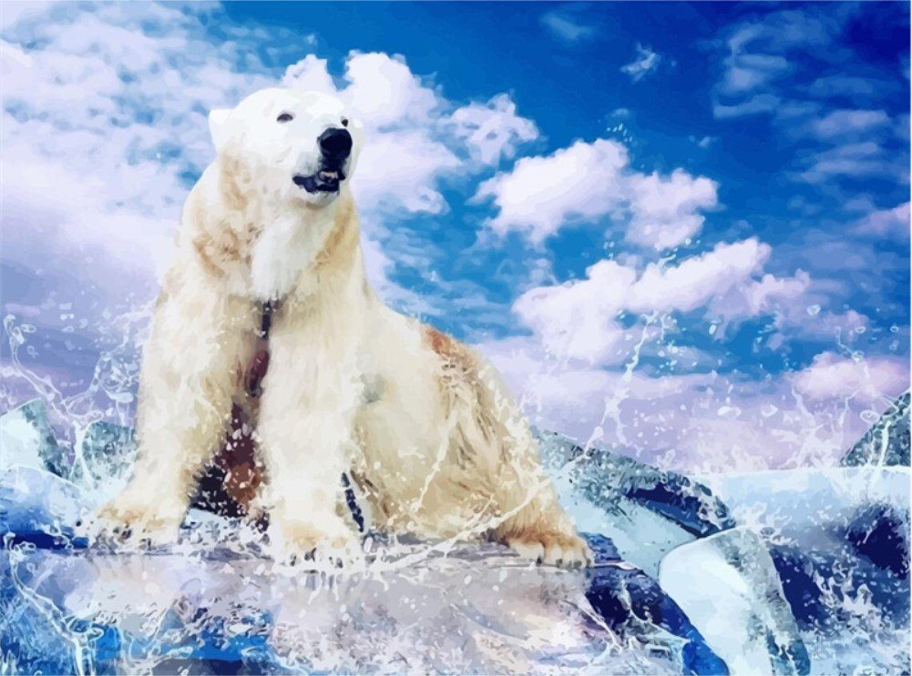 abeuty paint by numbers for adults and beginners polar bear polar arctic arctic 16x20 inch number painting (no frame)