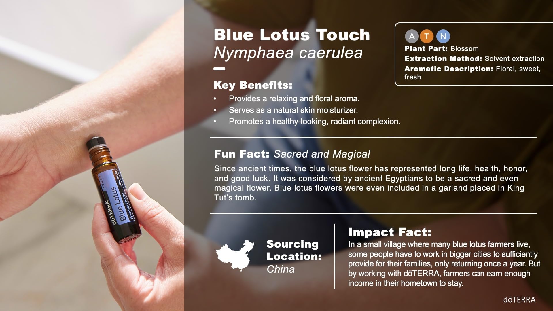 Amazon.com: doTERRA Touch Blue Lotus Roll On 10 mL : Health