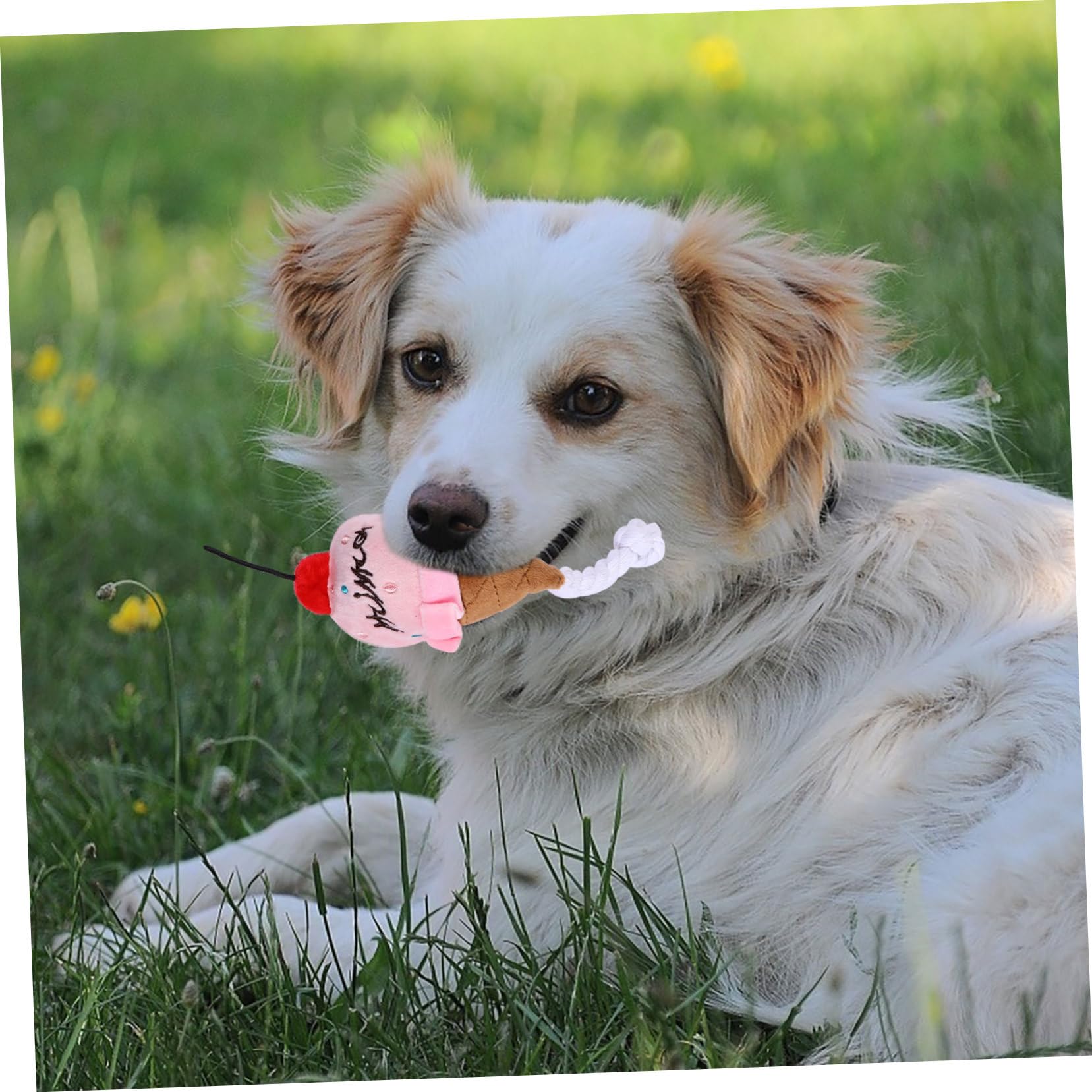 minkissy 3sets Plüsch Quietschende Hundespielzeug Lebensmittel Form Simulation Weiche Haustier Spielzeug Für Hunde 3 Stücke * 3