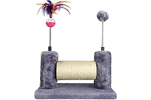 Scratching Post for Small Cats: The Perfect Play Pal and Claw-Care Companion