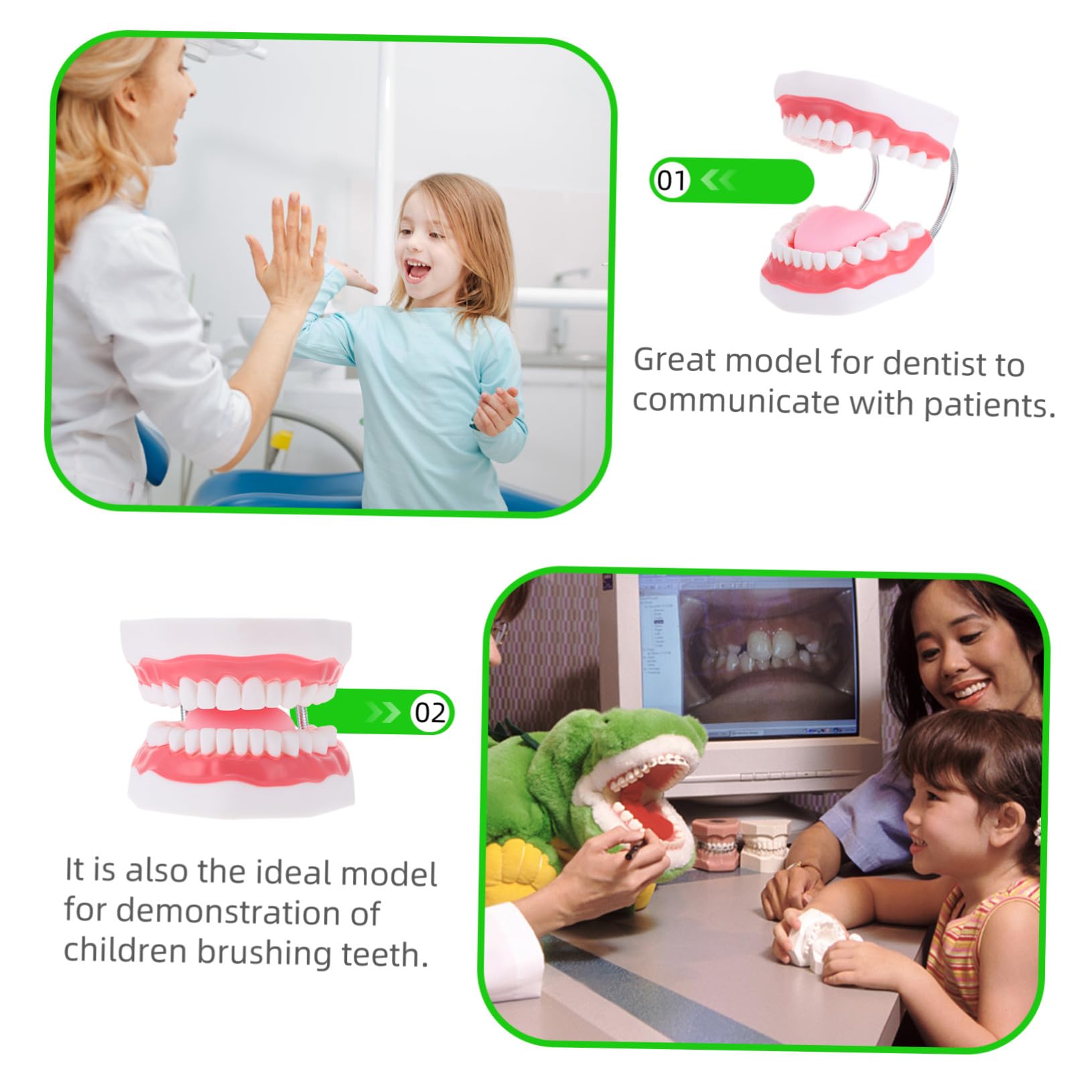 Modello dei Denti 6x Bianco in Pvc con Spazzolino Didattico | Gioco Interattivo per Ragazzo Ragazza, Supporto alla Comunicazione Genitore-figlio, 1 Pezzo