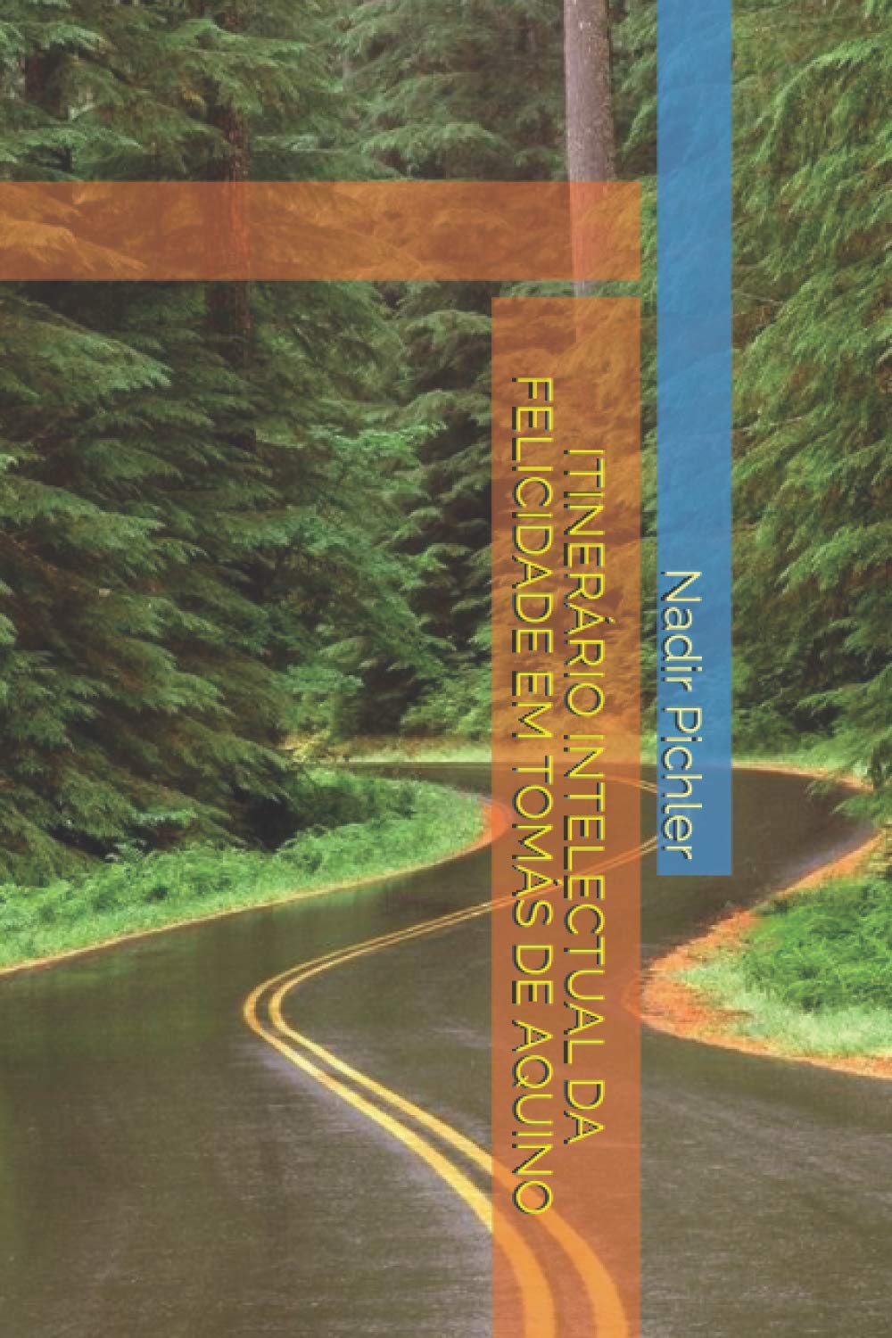 Itinerário Intelectual Da Felicidade Em Tomás de Aquino