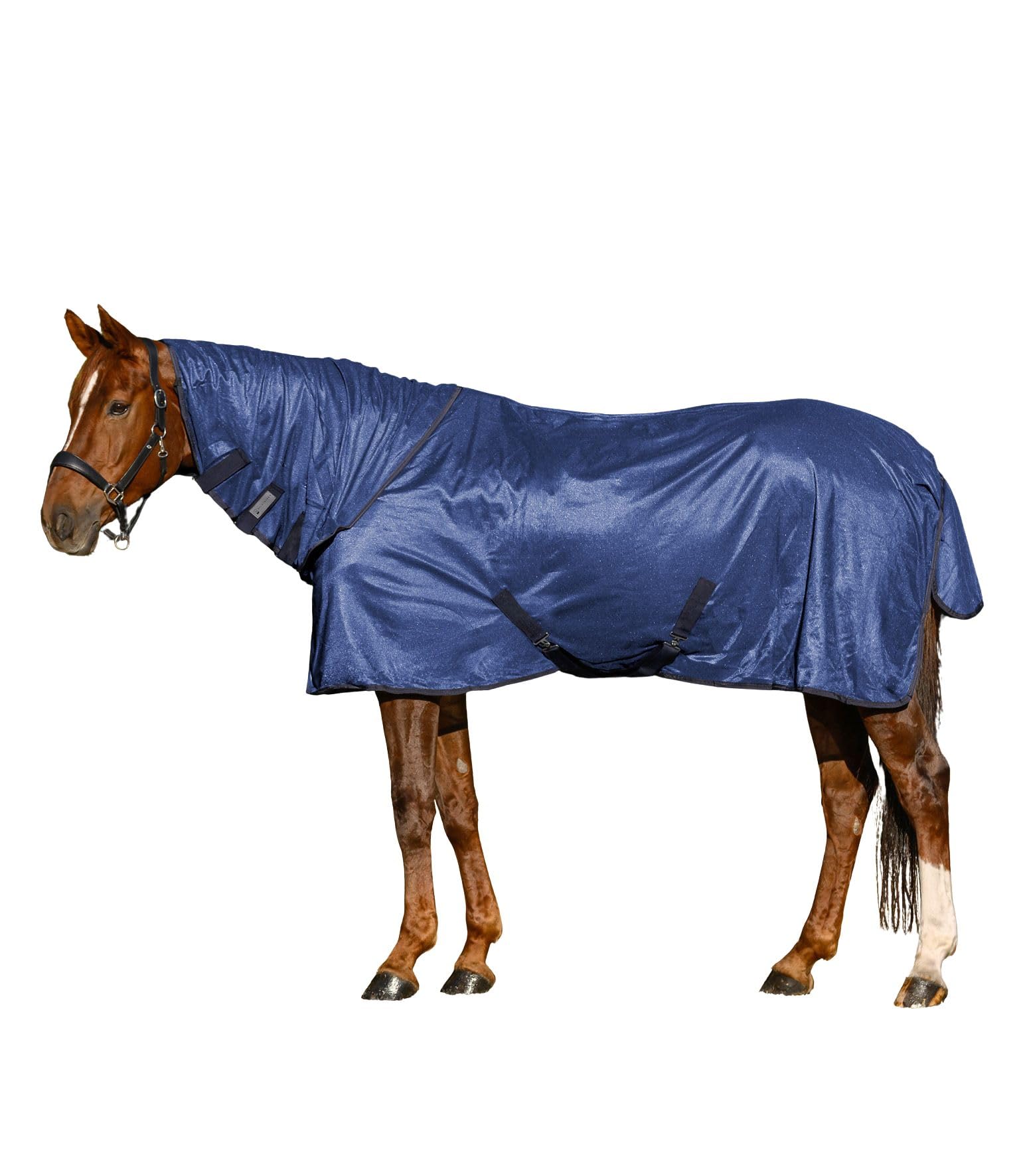 Waldhausen FlyControl - Coperta per mosche con collo, 155 cm, colore: Blu
