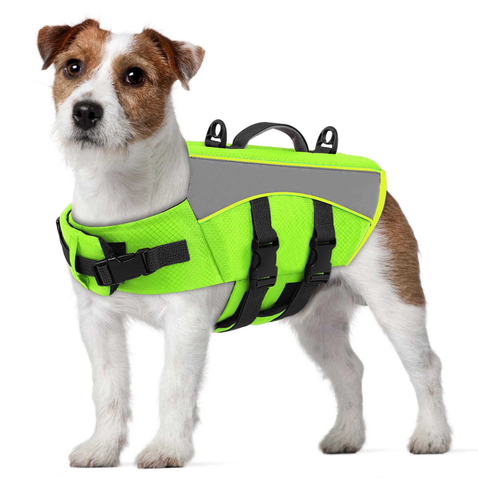 CITÉTOILE Giubbotto Salvagente per Cani - Giacca Galleggiante Riflettente con Maniglia, Galleggianti e Cinture Regolabili per Sicurezza in Acqua, Piscina, Verde, M