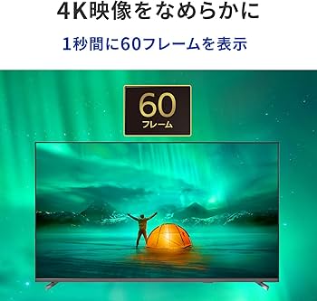 Amazon.co.jp: IODATA モニター 55インチ 4K UHD ADSパネル 高