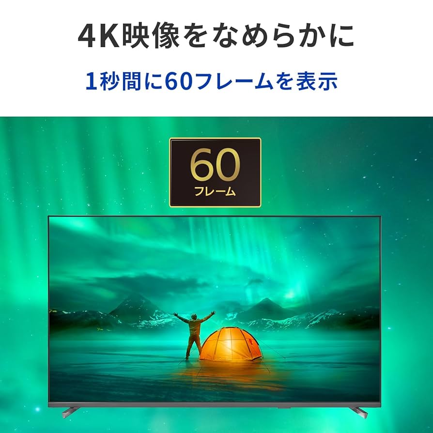 訳あり品】直接引取限定 IODATA 55型 4K液晶ディスプレイ 訳あり