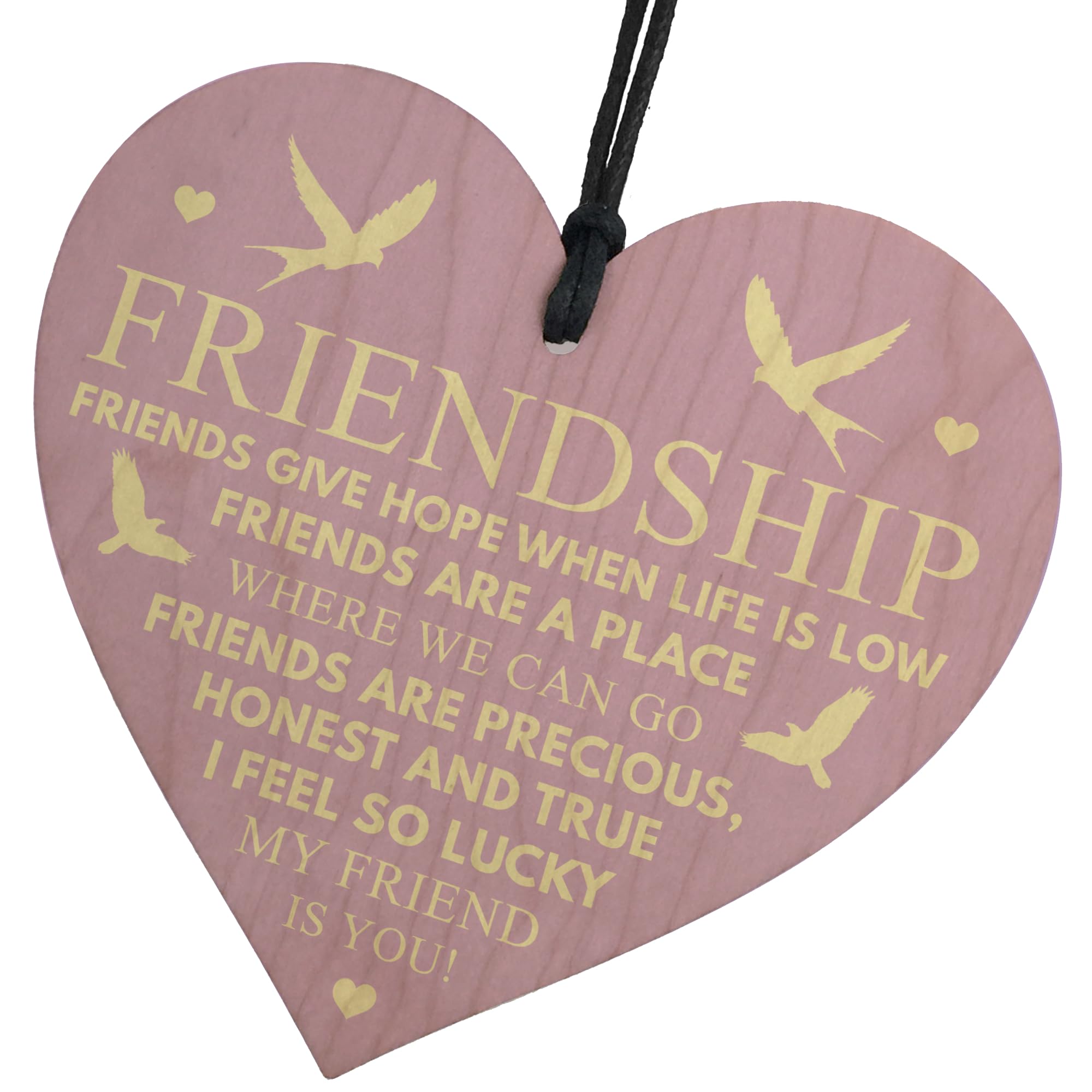 Red Ocean Best Friendship Gift Special Friend Women Men Gift With Sayings Friendship Message Ornament and Quote Wooden Hanging Heart Leaving Wall Sign