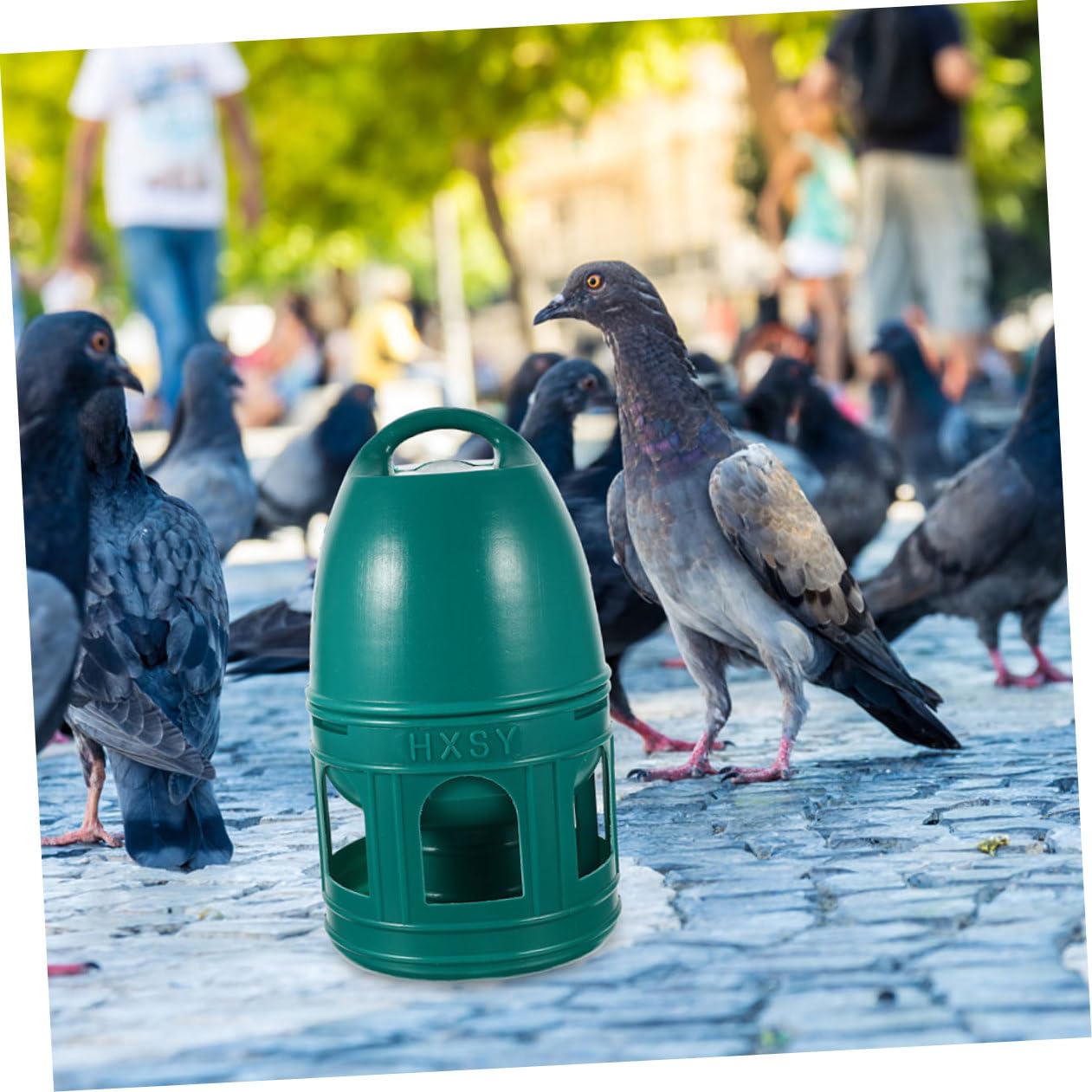 Grüne Vogeltränke 10l aus Kunststoff, Rund für Tauben