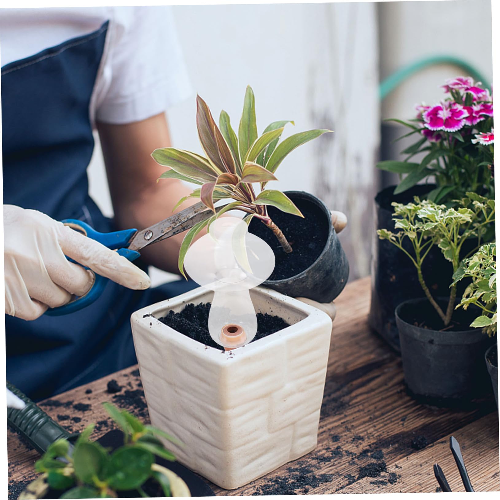 TOYANDONA 4 Ensembles Arrosage Automatique des Fleurs Dispositif D'Arrosage À pour Plantes D'Intérieur Système D'Arrosage Automatique pour Plantes 2 pièces * 4