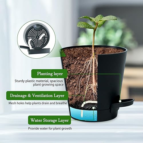 Miniatura 3 de Juego de 3 macetas colgantes con soporte geométrico de metal, moderna maceta montada en la pared para suculentas, plantas de aire, cactus,