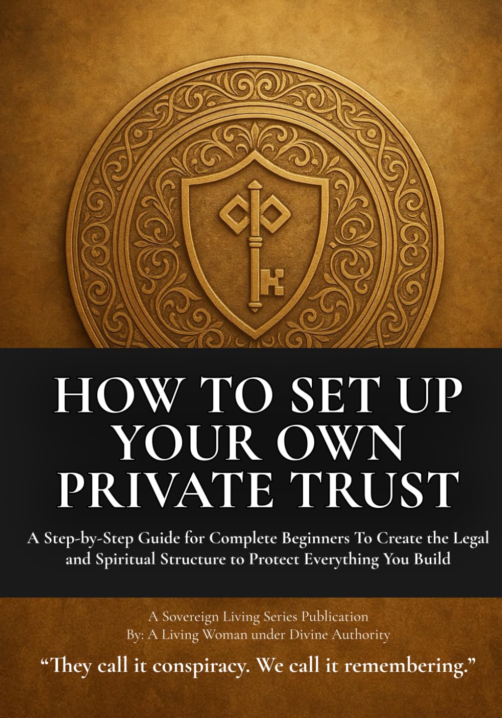 How to Set Up Your Own Private Trust: Private Trust Setup Made Simple — Structure, Strategy, and Remedy      Paperback – July 24, 2025