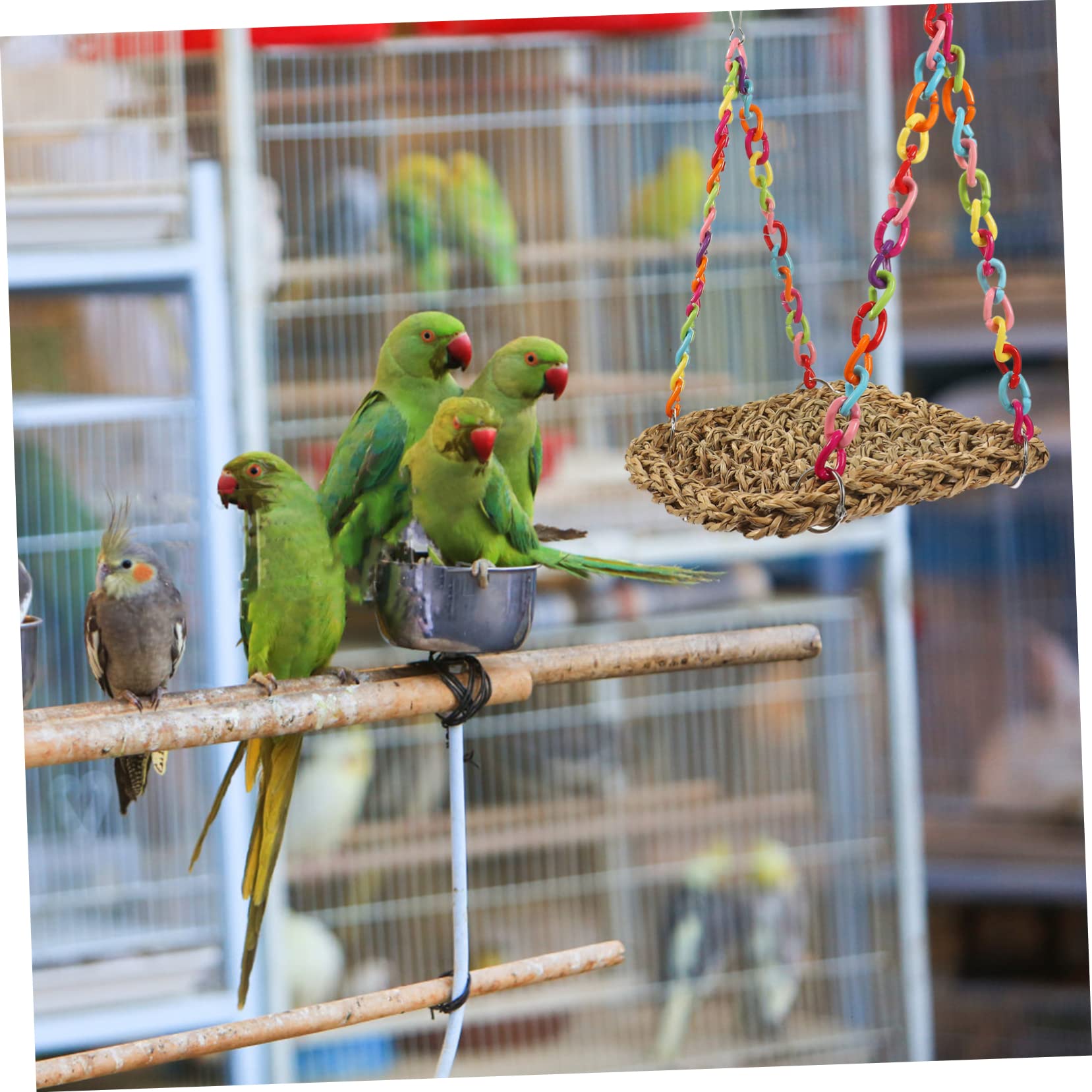 WOONEKY 3 Pièces Hamac en Paille Jouet à mâcher Perroquet Jouet calopsitte Perruche Jouet balançoire Suspendu nid d'oiseau de Jardin nid d'oiseau Suspendu Cage à Oiseaux tissée Acrylique