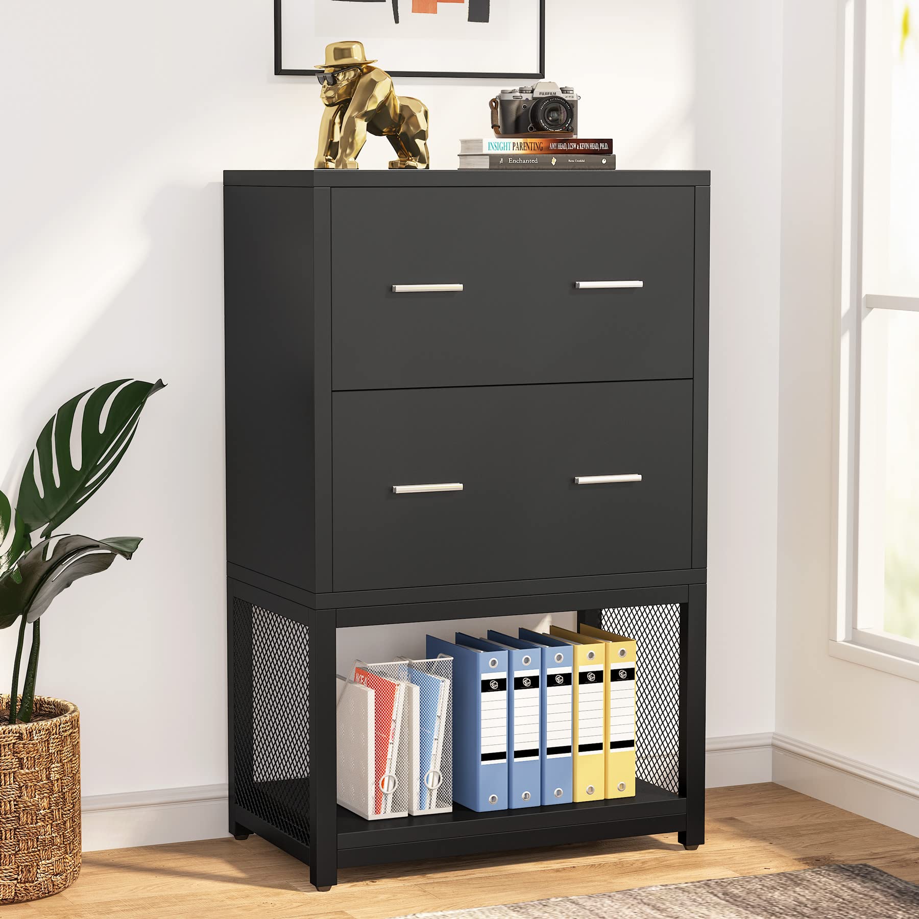 Buy Tribesigns 2 Drawer Lateral File Letter/Legal/A4 Size