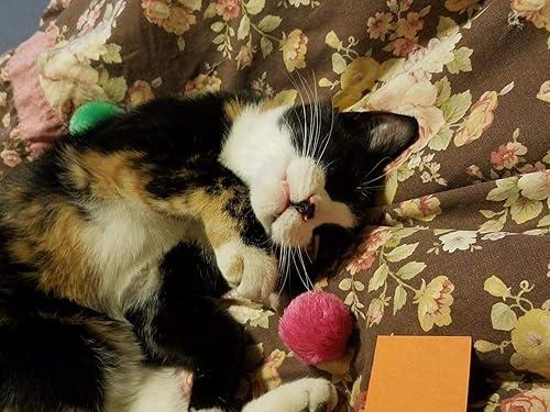 Miniatura 5 de Fashion's Talk Cat Toys Pelota de sonajero peludo para gatito, paquete de 12