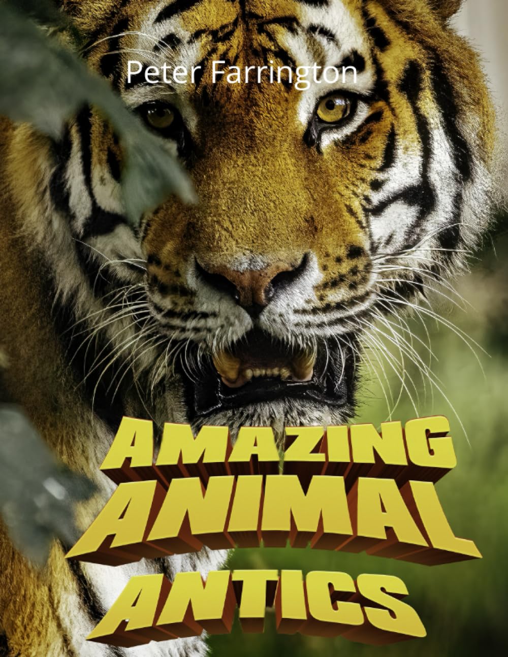 Amazing Animal Antics: A treasury of poems (Children's Books/Poem/Fiction)