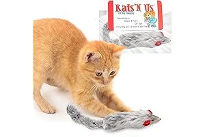 Dat Darn Ferret: The Purrfectly Wild Treat for Your Curious Kitty