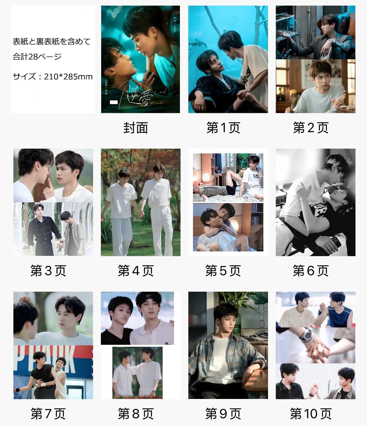 Amazon.co.jp: 写真 逆愛～Revenged Love～ 写真集 グッズ 中国BL