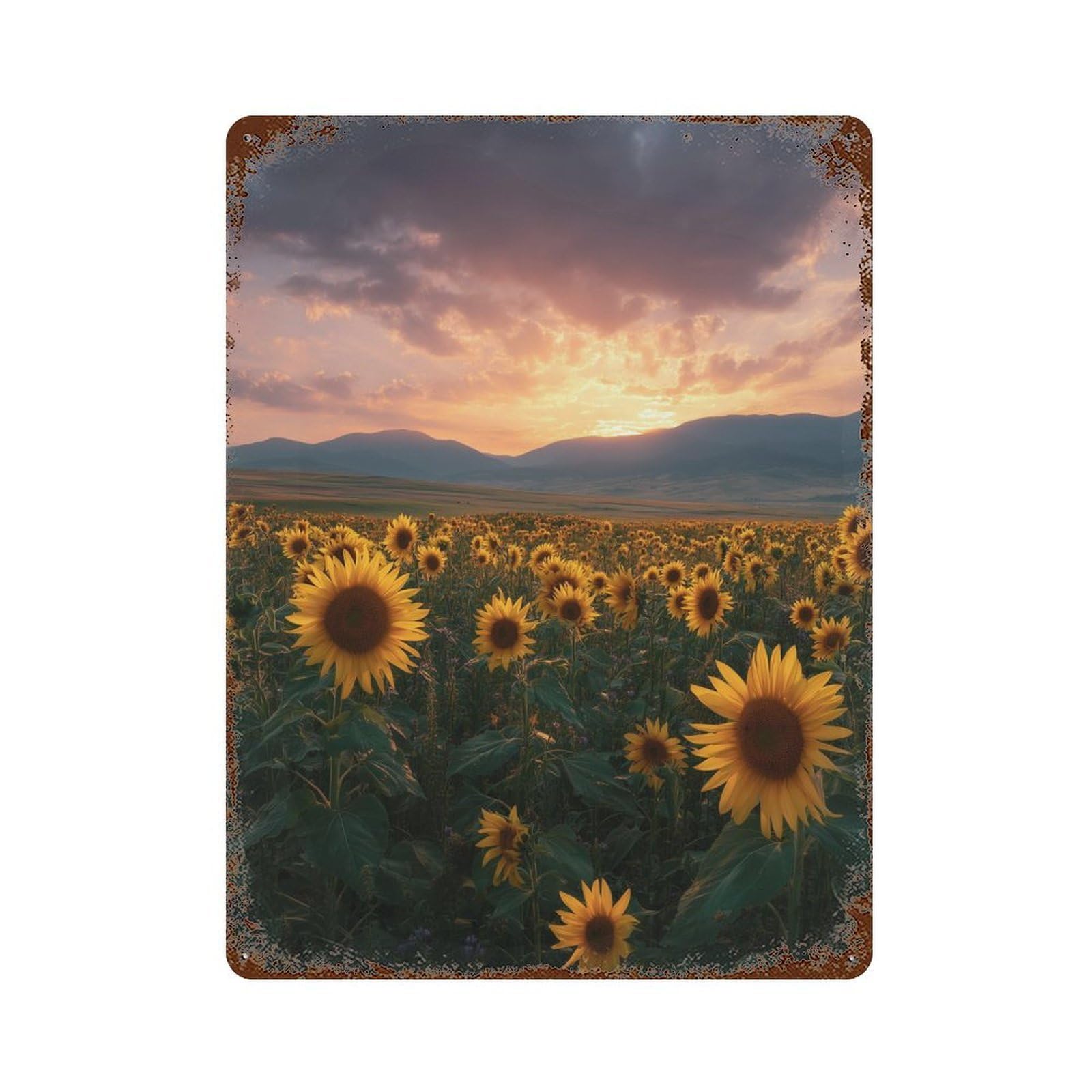 Sunflower Field Sunset-6 Aged Metal Wall Plaque 15.7"x11.8", Classic Wall Plaque for Garage, Pub Or Kitchen