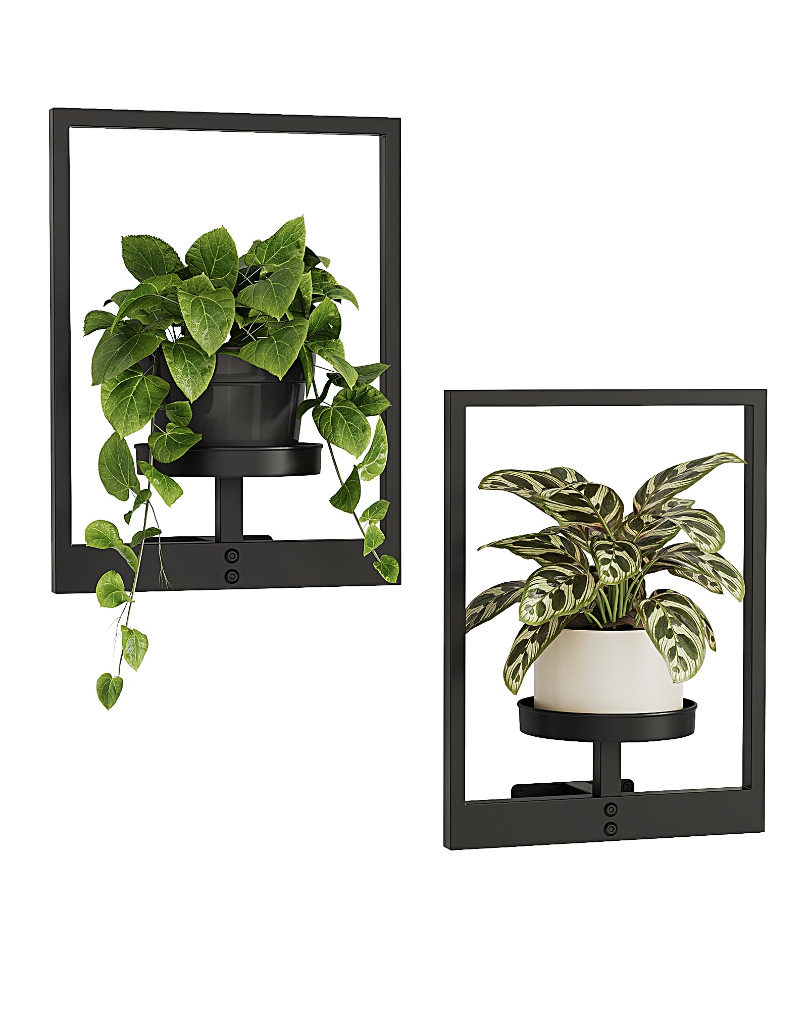 Bamworld Metal Plant Hanger