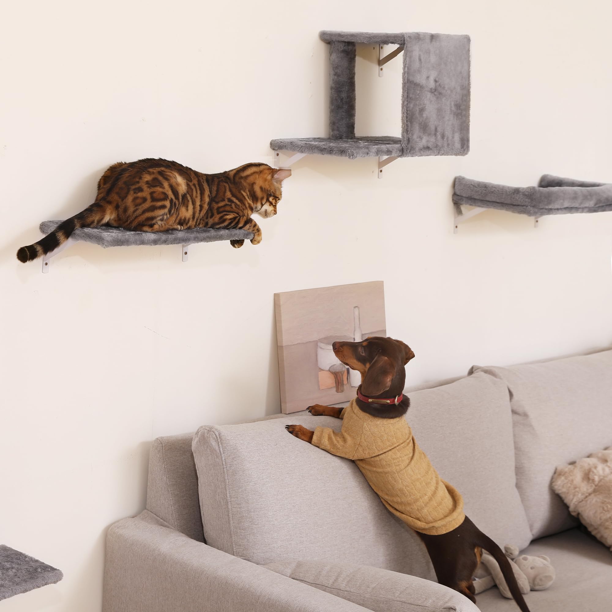 FUKUMARU Mensole per Gatti da Parete, Set di Mobili da Parete per Gatti Stabile e Sicuro, Albero da Arrampicata in Legno Rinforzato con Palo Tiragraffi e Giocattolo per Gatti - Grigio