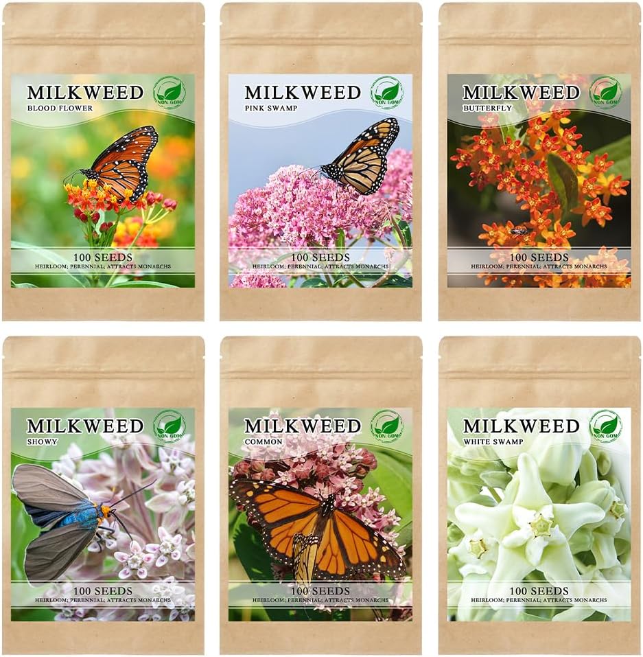 Milkweed Seeds for Monarch 6 Pack of 200 Seeds Heirloom Untreated Wildflower Seed Pink Swamp Showy Butterfly Common Swamp Blood Milkweed