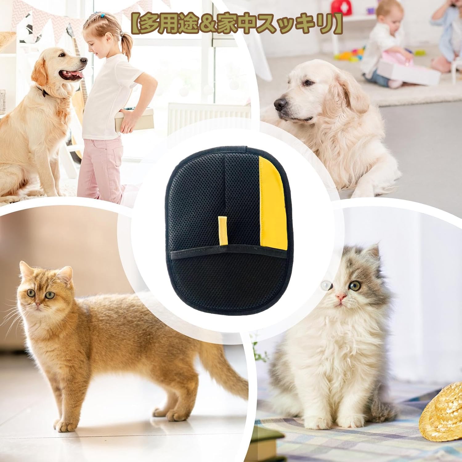 ペット 犬 猫 グルーミング ケア バスセット 浮き毛を取り除く手袋 歯磨き ペット 犬 猫 グルーミング ケア バスセット 浮き毛を取り除く