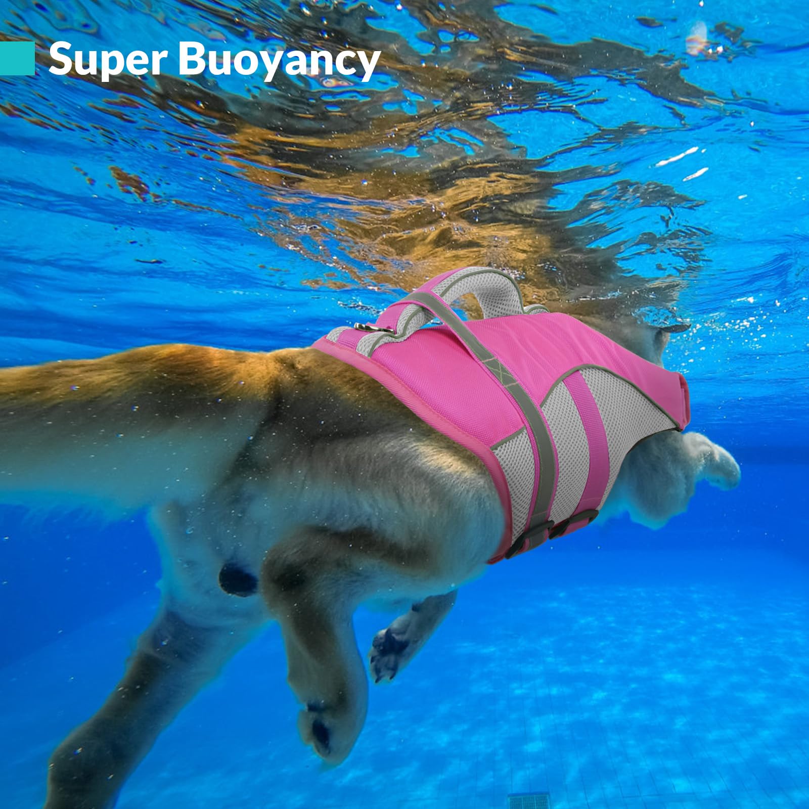 Queenmore Schwimmweste Hund Mittel Leichtes Gewicht Hunde Schwimmweste Mit Rettungsgriff Rettungswesten Für Hunde Für Dackel, Französische Bulldogge,Pug,Jack Russell,Greyhound,Schnauzer, Rosa, M