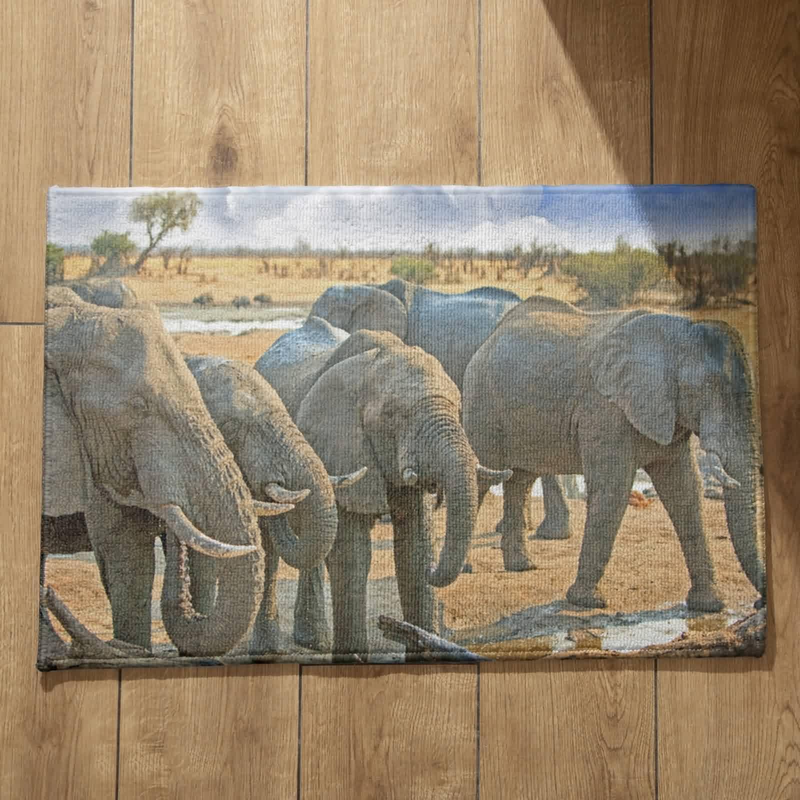 Alfombra antideslizante de elefante para entrada de casa: seguridad y estilo de 50x80 cm