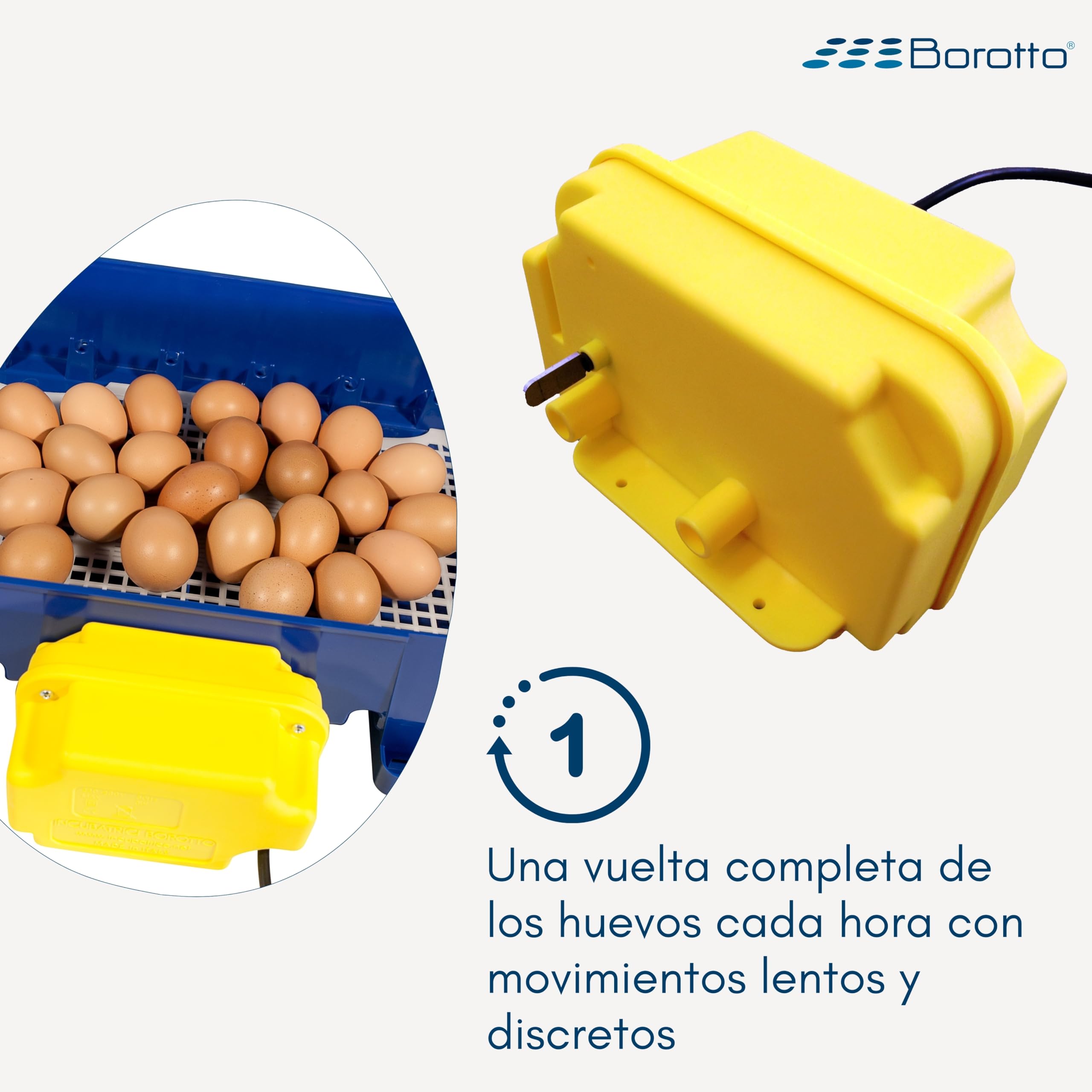 Borotto Girador de Huevos Real | Dispositivo Patentado para Inclinación Automática de Huevos, Compatible con Incubadora Borotto Real, Instalación Fácil y Rápida | Made in Italy