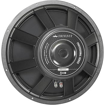 a plus speaker 18 inch price