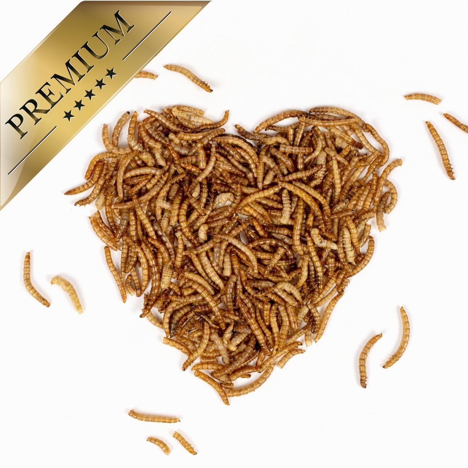 Lyra Pet® 3 kg de vers de Farine séchés | Nourriture Riche en protéines | pour Oiseaux Sauvages, rongeurs, Reptiles & Poissons | Source d'énergie pour Insectivores | Vitamines & minéraux