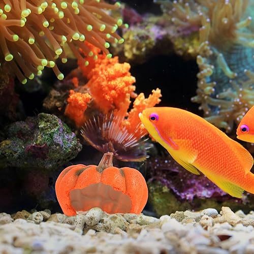 Miniatura 7 de Ipetboom Decoración de pecera de acuario Adornos de resina de dibujos animados Casa de refugio de calabaza Estatua de calabaza Estatua de cría Cueva