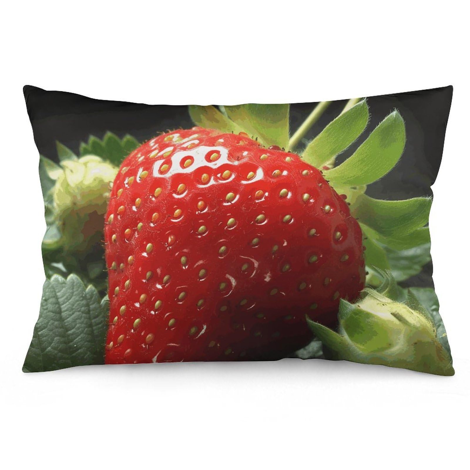2 Pack Pillow Cases for Hair and Skin, Soft Breathable Pillow Case Covers with Hidden Zipper, Fruit Strawberry Pillowcase 16 "x24 Pillow Covers for Sleeping Gift