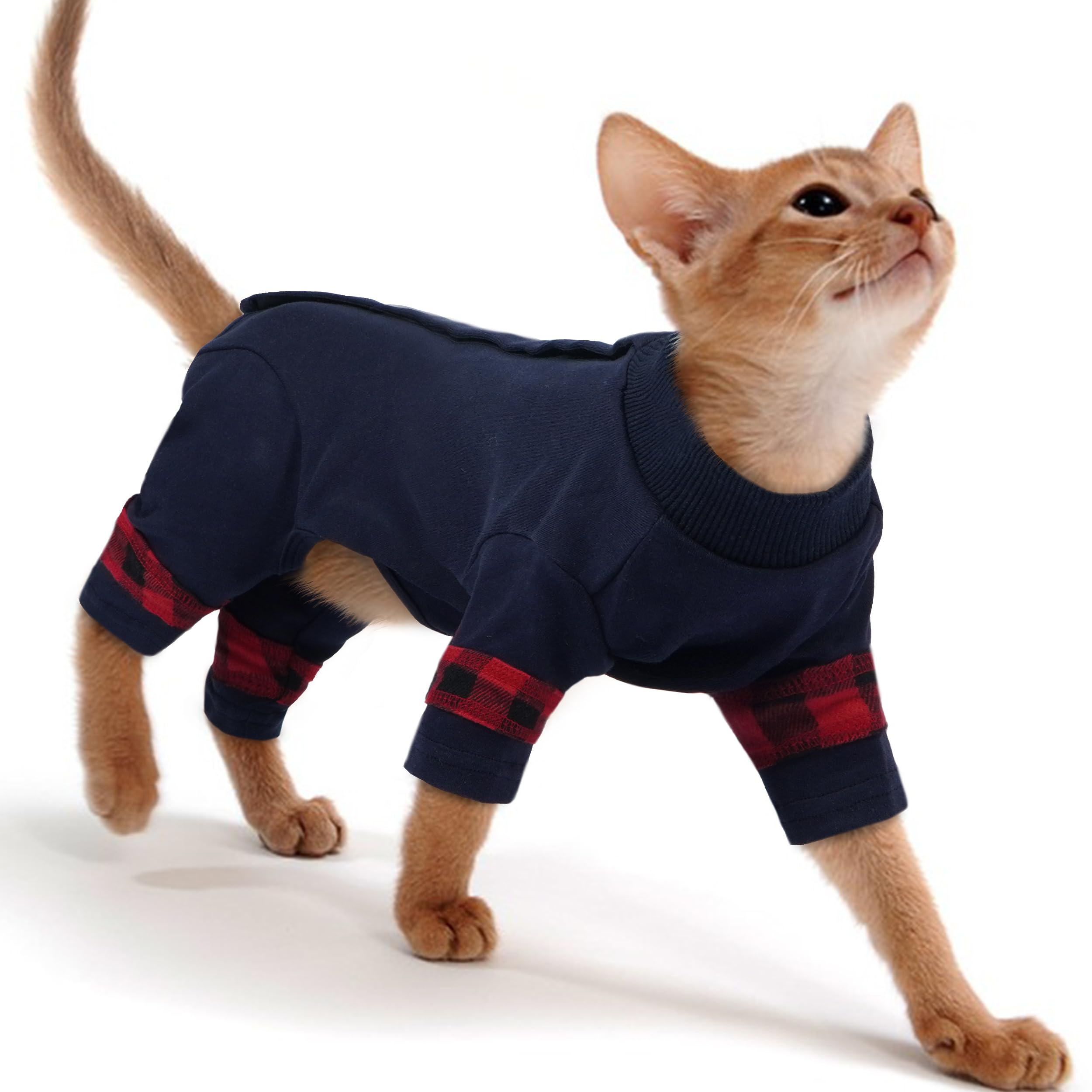 Vêtements pour chat Sphynx : pull extensible bleu taille XS