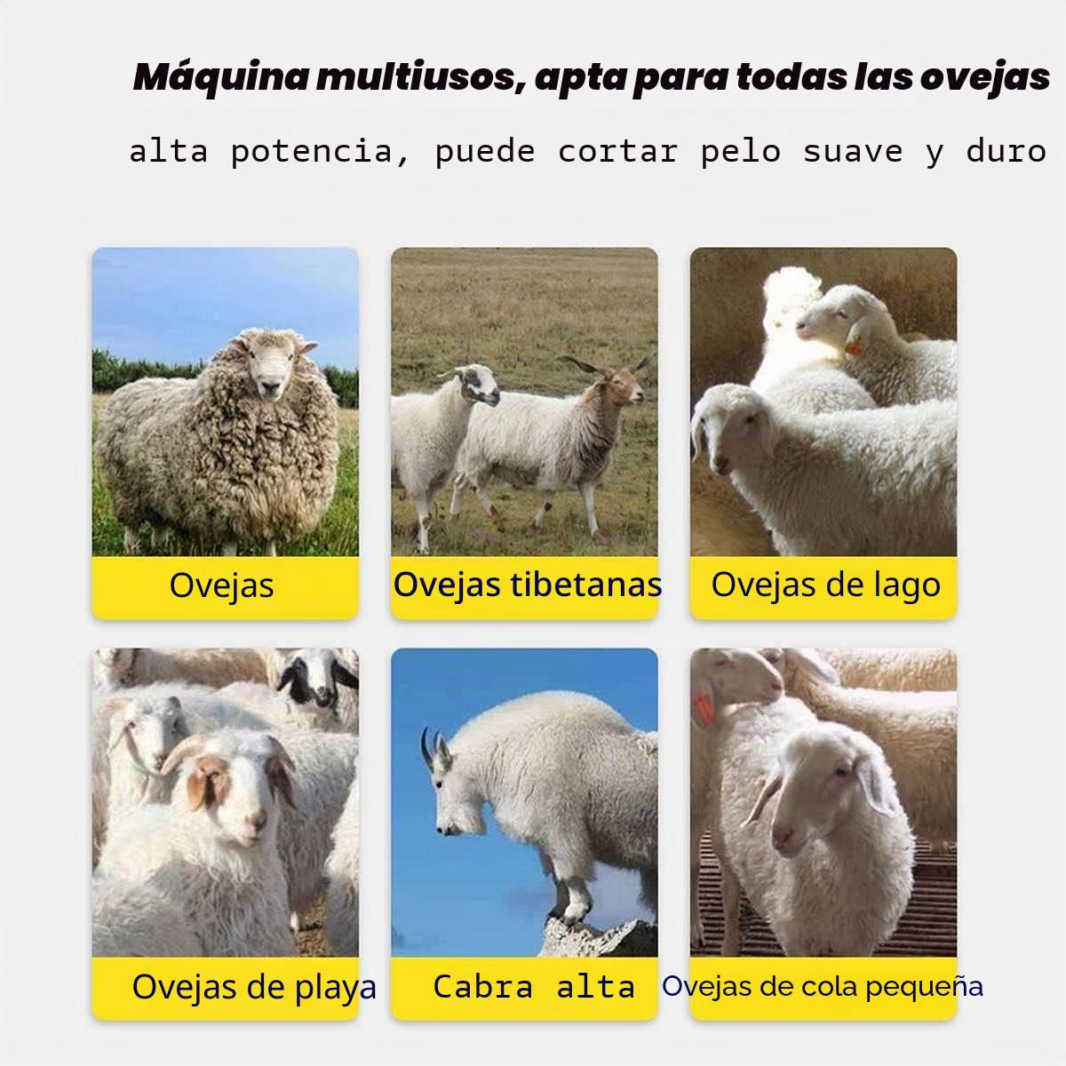 wz Máquina Esquiladora de 1200W 6 velocidades 13 Dientes, Trasquilador Eléctrica para Oveja Cabras, Tijeras Profesionales para esquila de ovejas con Estuche de Aseo CE