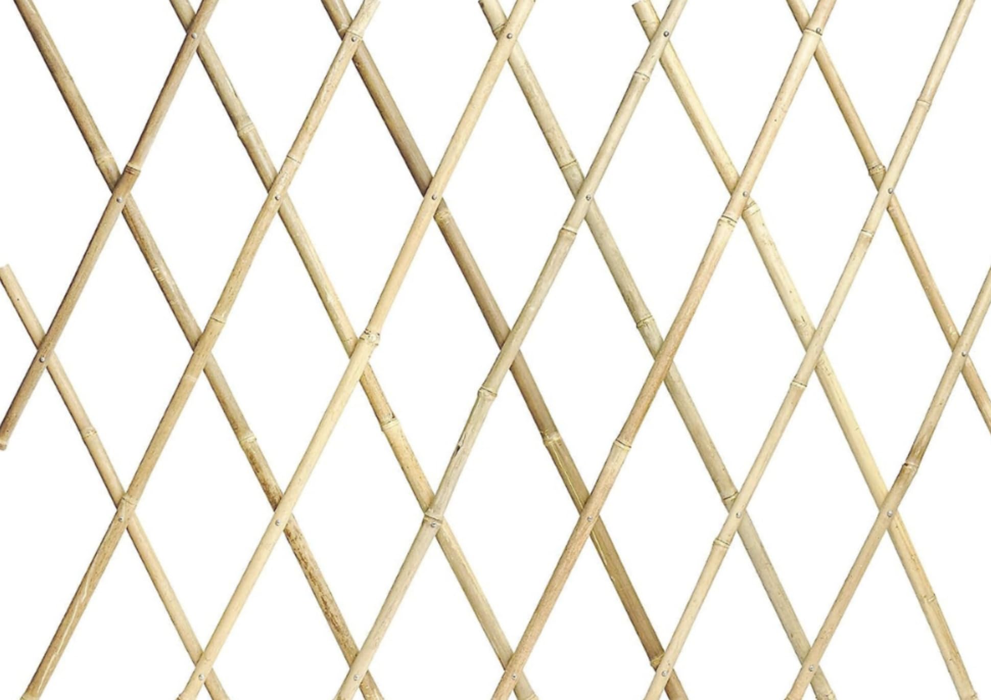NG NICCOLAI TRALICCIO ESTENSIBILE BAMBOO VARIE MISURE (200x200 CM)