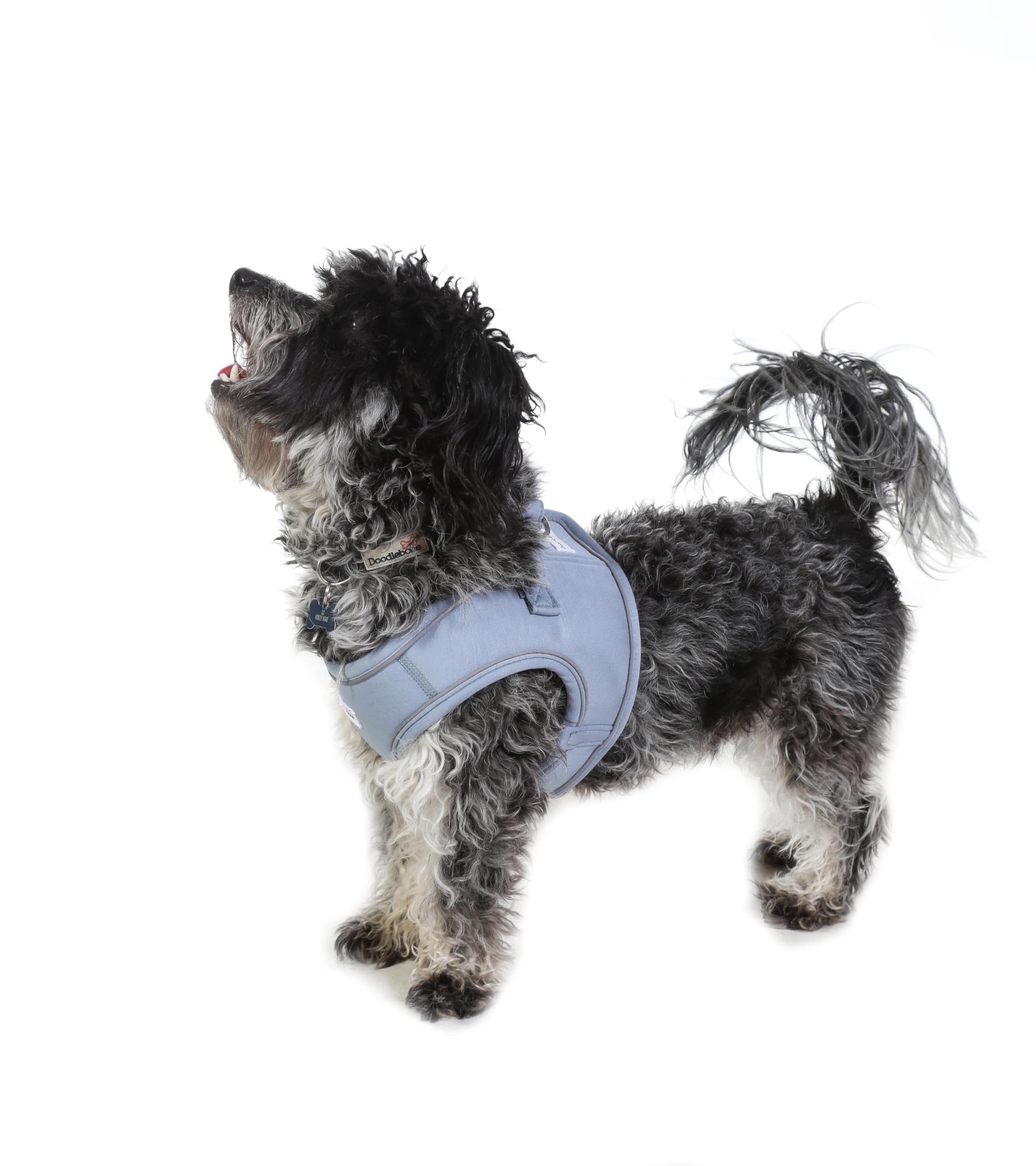 Doodlebone Dinky Dog Snappy Harness (Chalky Blue, 0.5) - Image 3