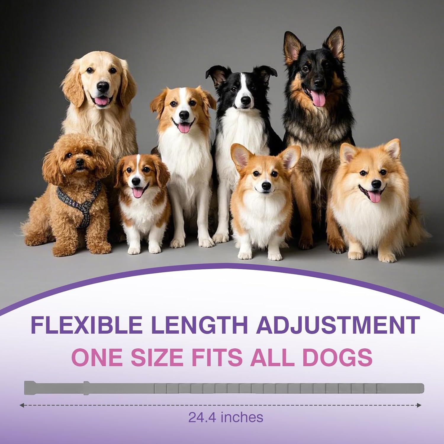 Calming Collar for Dogs 4 Pack Dog Calming Collar with Soothing Pheromone for Dog Helps Relieve Anxiety Stress Adjustable for Dogs Long-Lasting 60 Days Pet Calming Collars Grey - Image 6