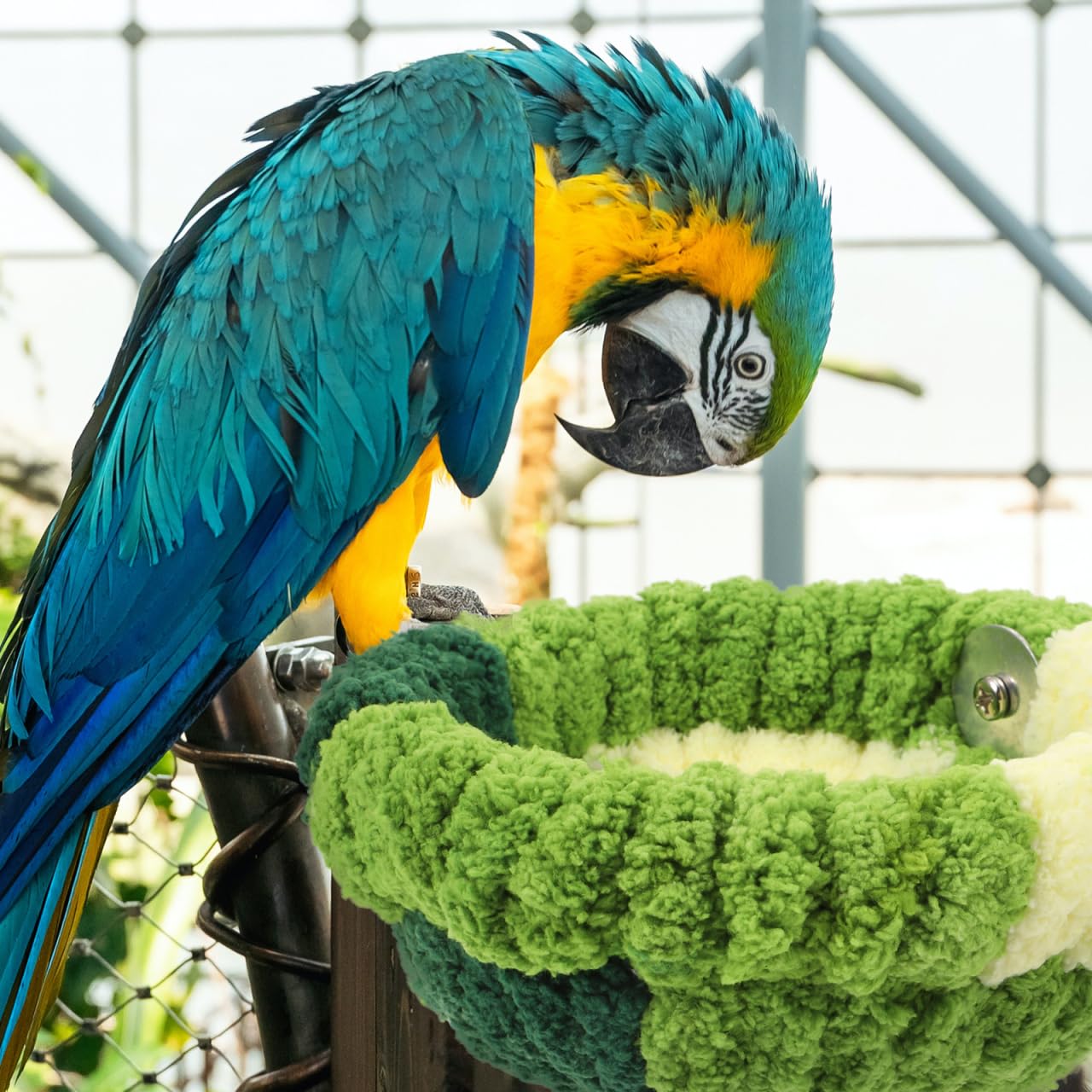 Abaodam Grand Nid Chaud pour Perroquet en Polaire Vert Forêt, Nid de Reproduction Demi-Cercle Grosse Taille, Refuge Confortable pour Cage à Oiseaux D’Hiver