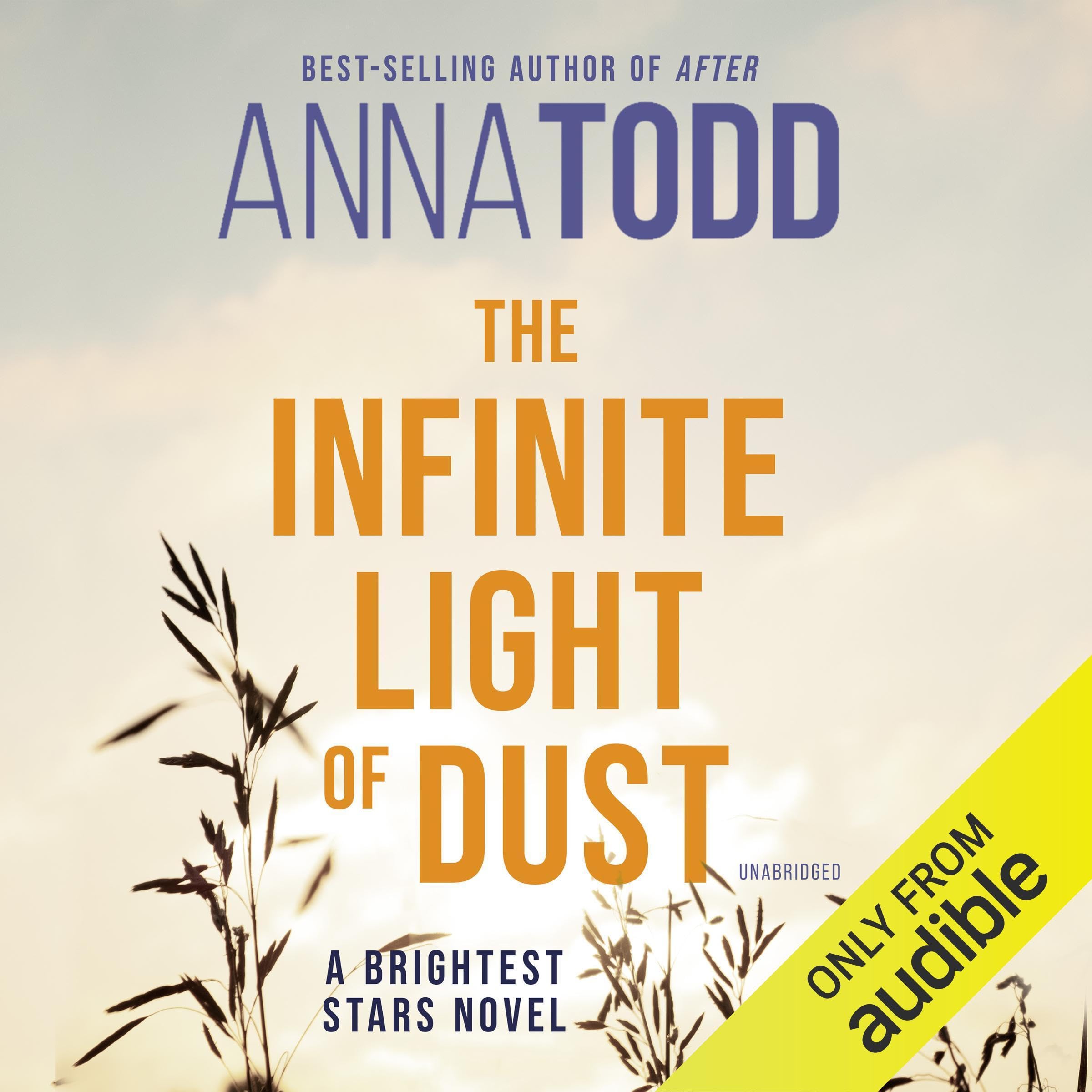 The Infinite Light of Dust