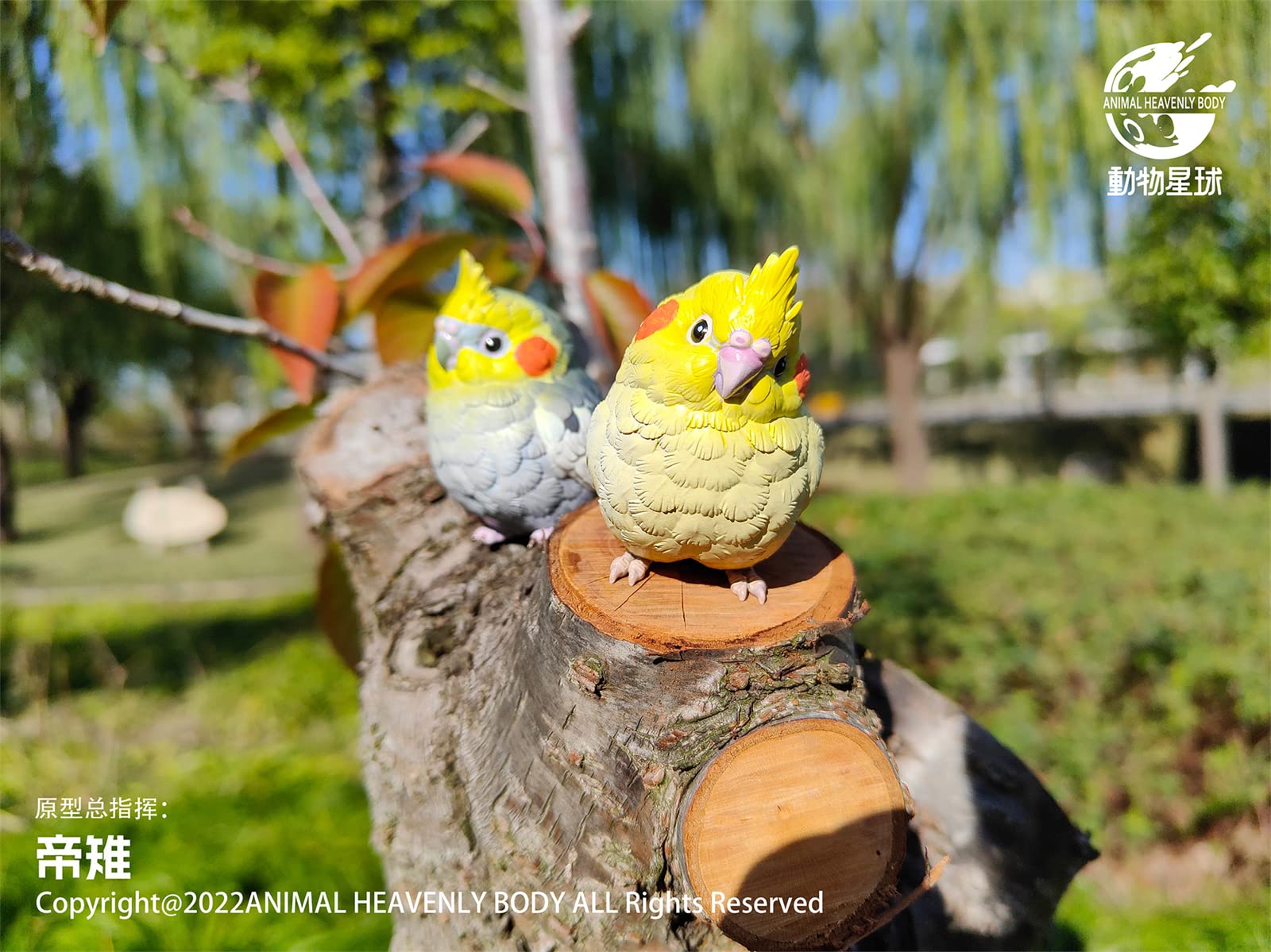 超美品✨Aviary Grande celebriducks Amazon.com: CelebriDucks