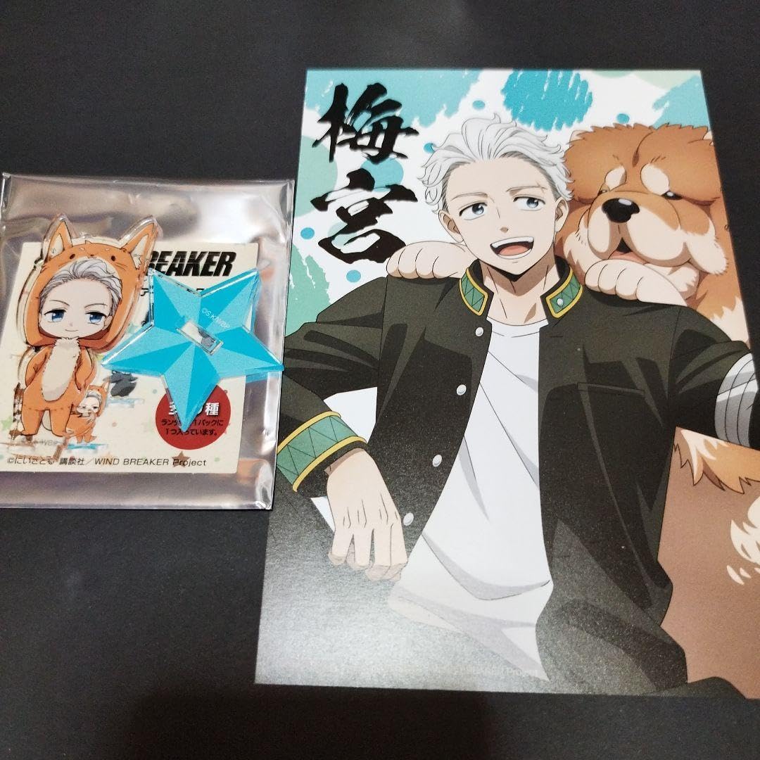 Amazon.co.jp: WINDBREAKERロフト 梅宮一 2点セット : おもちゃ 