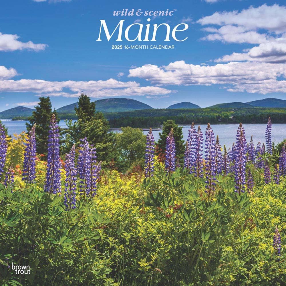 Maine Wild & Scenic 2025 12 x 24 Inch Monthly Square Wall Calendar