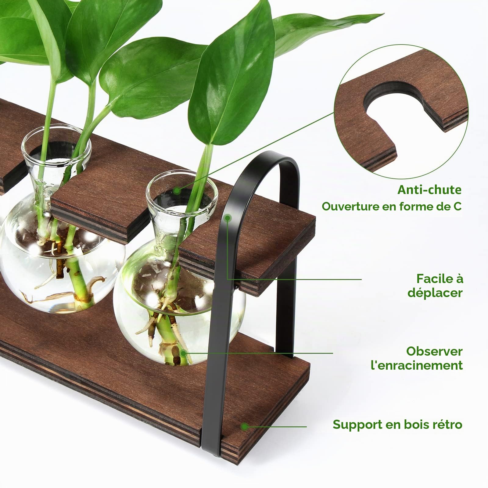THYGIFTREE Stations de propagation de plantes avec support en bois, bulbe de terrarium de bureau pour la propagation de plantes hydroponiques, fleurs