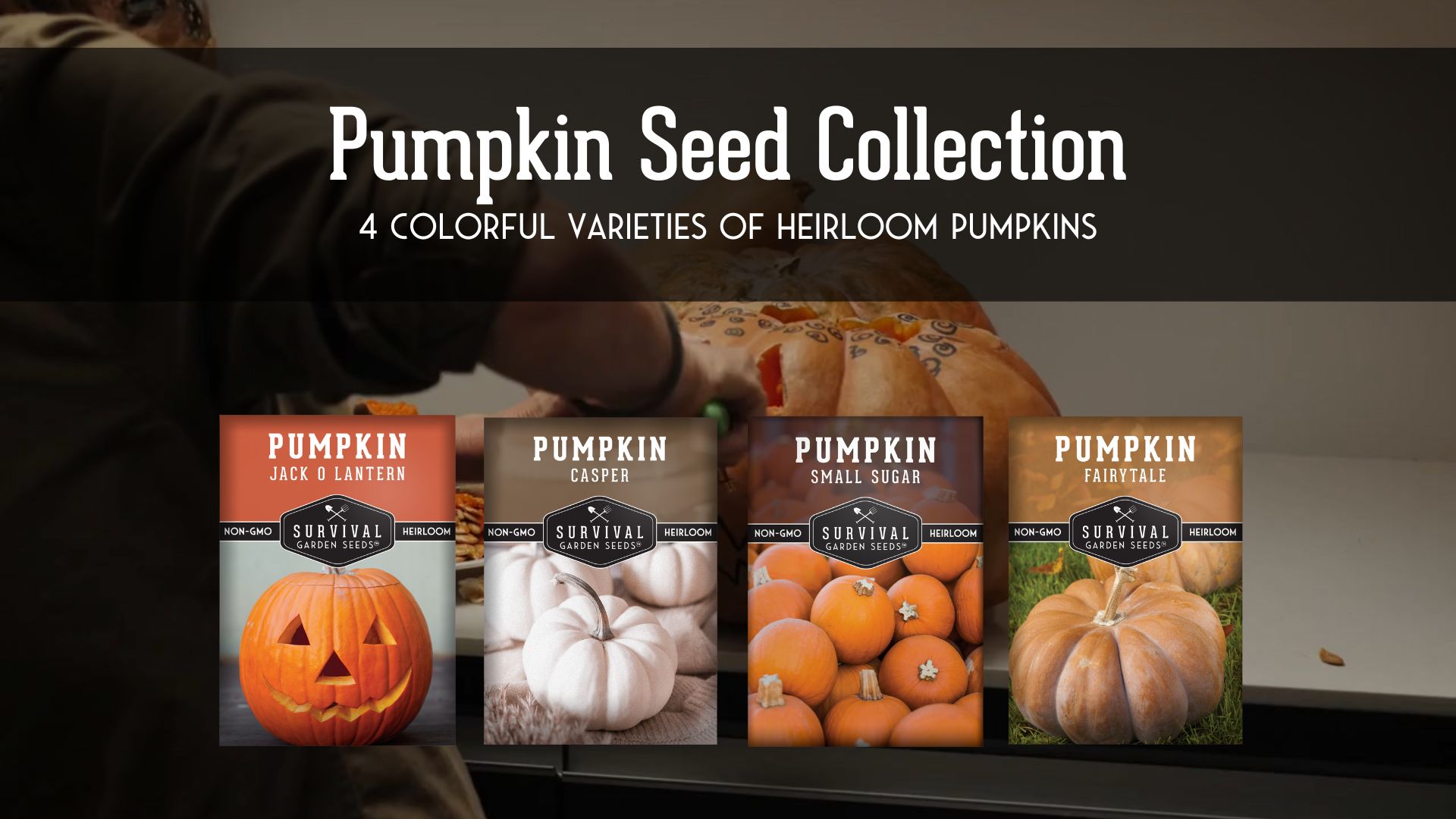 Amazon.com : Pumpkin Seeds 4 Variety Pack for Planting  Small Sugar, Jack  O' Lantern, Fairytale & Casper Heirloom Non-GMO Pumpkin Seed Collection |  Survival Garden Seeds : Patio, Lawn & Garden