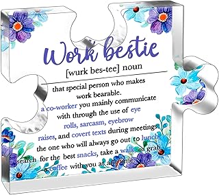 Work Besties Gifts For Women Coworker Friends Birthday Funny Gifts For Coworker Unique Friendship Gifts For Friends Female Retirement Mothers Day Acrylic Plaque Decor Appreciation