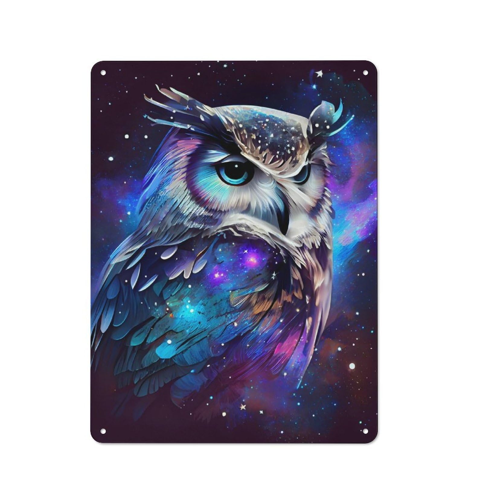 Junmoney Owl With Galaxy Theme Vintage Tin Sign 40X30cm With For Guest Room Or Hallway, Suited To Wall Displays In Guest Rooms And Hallways