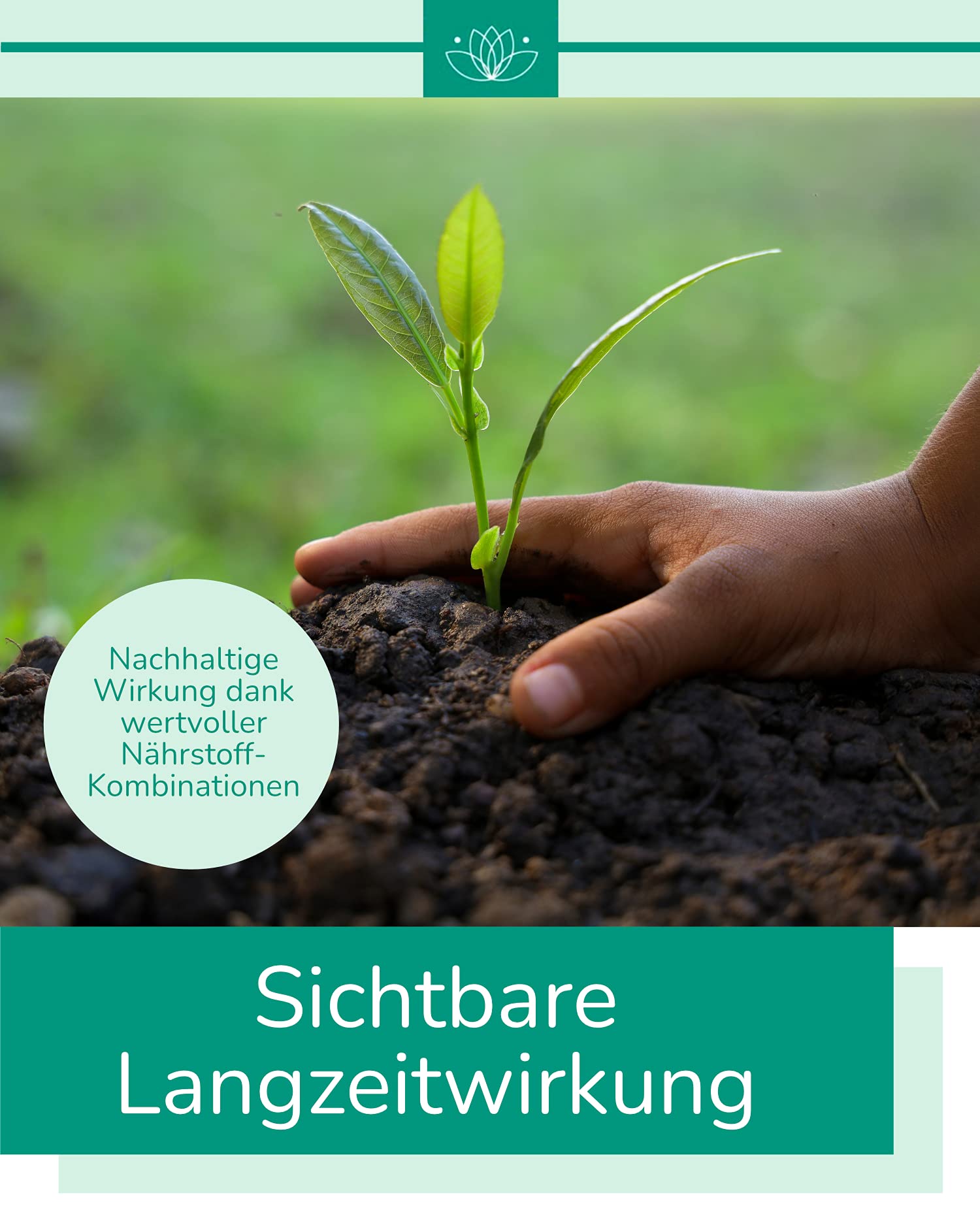 Urgesteinsmehl 5 Kg | Gesteinsmehl zur Bodenverbesserung | Fr Tiere und  Garten | Steinmehl Dnger zur Pflanzenstrkung und liefert wichtige  Nhrstoffe : Amazon.de: Garten