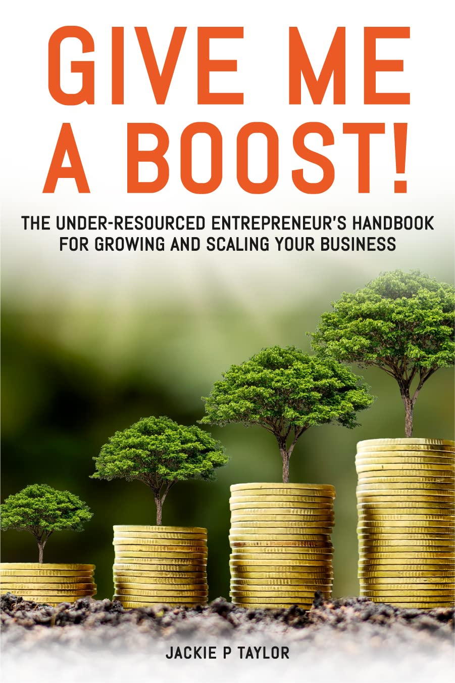 Give Me A Boost!: The Under-Resourced Entrepreneur's Handbook for Growing and Scaling Your Business